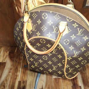 Lousi Vuitton Hard case satchel/shoulder bag